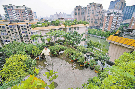 楼顶“开荒” 鸟语花香 又一道空中风景