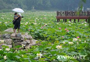 点此在新窗口浏览图片