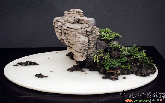 第七届花博会(青州)室内展--重庆展区