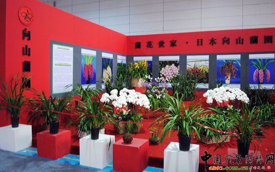 第七届花博会(青州)室内展--国际馆