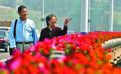 金秋十月“花样”泉城