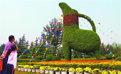 金秋十月“花样”泉城