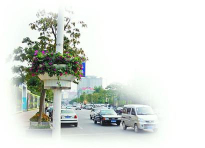 金秋十月“花样”泉城